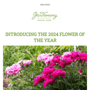 2024 Flower Of The Year + Garden Makeover Dos & Don’ts + Plant & Forget Veggies