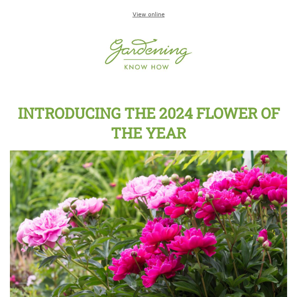 2024 Flower Of The Year + Garden Makeover Dos & Don’ts + Plant & Forget Veggies