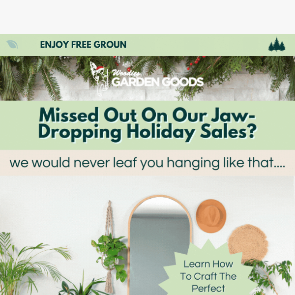 Thought You Missed Our Holiday Deals? Think again! 🌿