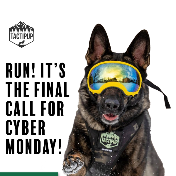 ⏳ Final Hours: Cyber Monday 🐾