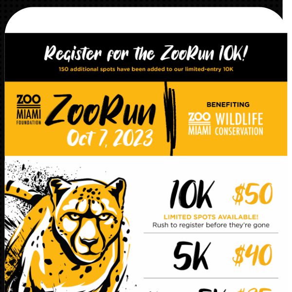 More spots added to the ZooRun 10K! Register now!