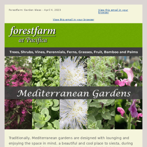 Mediterranean Gardens