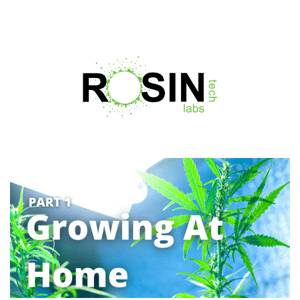 The Basics For Growing Cannabis At Home (Part One)