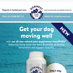 Get your dog moving well with MoveWellia®