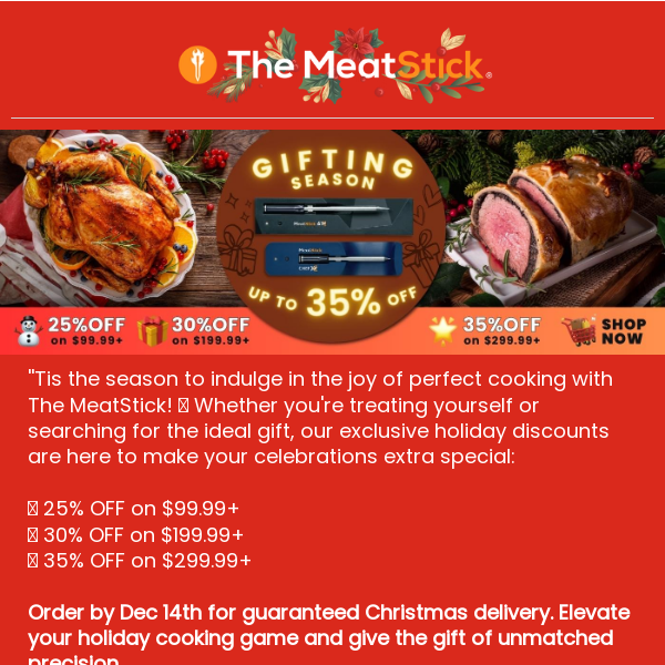🎄 🎁 Gift with Precision: Up to 35% OFF The MeatStick + FREE Christmas Delivery! 🛒 