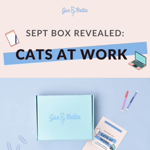 SNEAK PEEK 😻 Don't miss September's box!