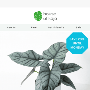 🌿🐣 Last Chance to Save on Plants