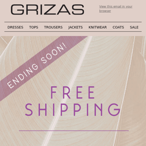 Embrace Free Shipping Opportunity Now