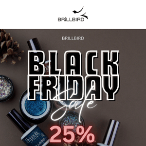25% off Black Friday sale