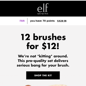 12 brushes for $12 🤩