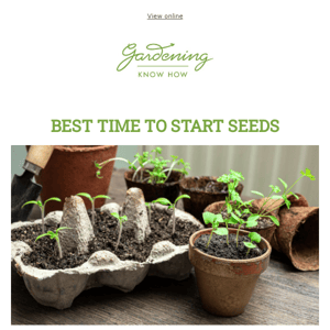 When To Start Seeds + Grow A Garden For FREE  + 5 Bird Bath Mistakes