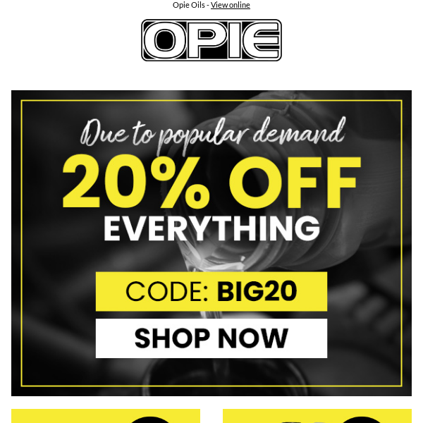 Due to popular demand... 20% Off Everything!