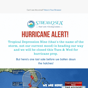 Hurricane Sales Alert! 🌪