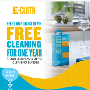 What Would You Do If You Didn't Have To Clean For A Year?