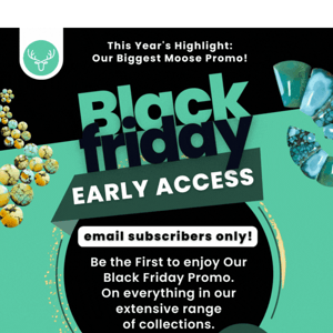 Early Access to Black Friday Promo! Email Subscribers only 🤫