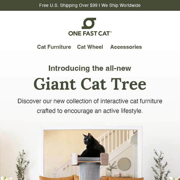 Introducing The Giant Cat Tree 🌳