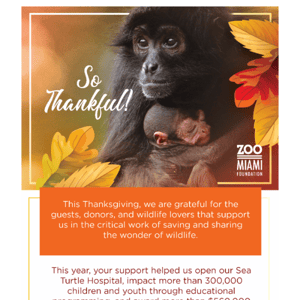 We are thankful for you!