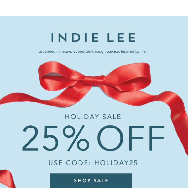 Holiday Sale 25% Off!