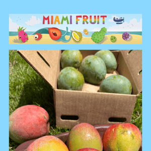 Florida-grown Kent mango now available! 🥭