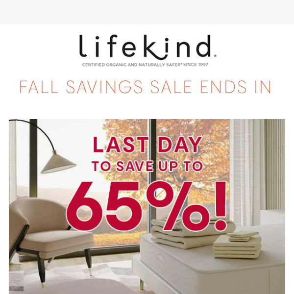 LAST DAY for 65% OFF... THIS IS IT! 🍁🍁