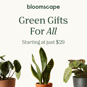 Green Gifts for All 🪴