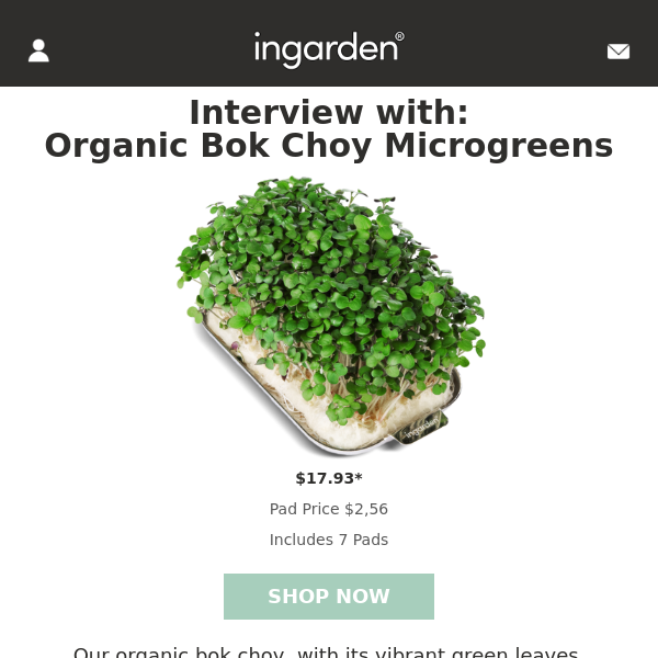 Meet the microgreen: Bok Choy  + Recipe Idea 🌱