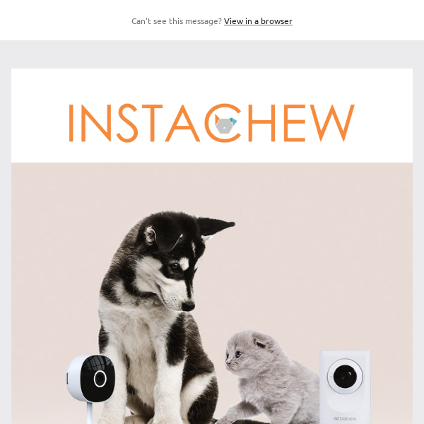 🌴 July Pick | INSTACHEW Smart Pet Cameras 👈