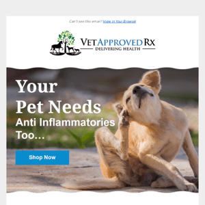 Does your pet need anti inflammatories?