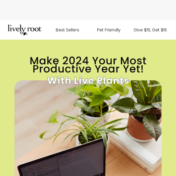 Accomplish Your 2024 Goals With Plants 🌱💻