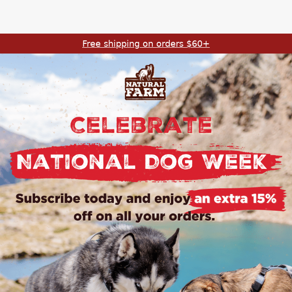 Extra 15% OFF: National Dog Week Special!