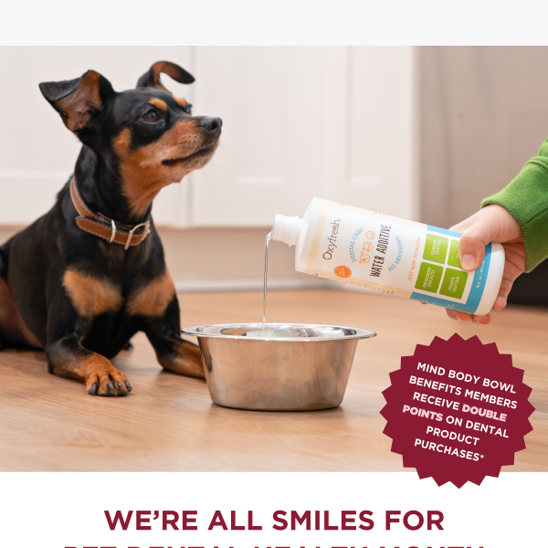 Get Ahead of Your Pet’s Dental Health! 🦷