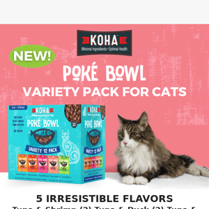 NEW Product Alert! 🚨 Poké Bowl Variety Pack for Cats