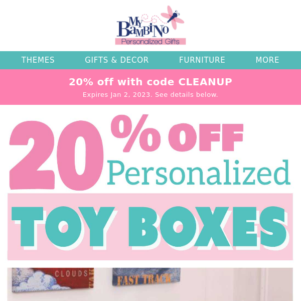 Organize the Toys - Toy Box SALE