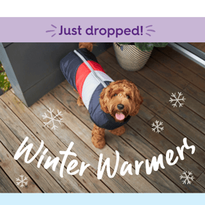 Winter Warmers Just Dropped! 🐶
