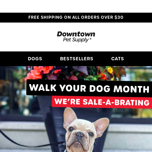 We're sale-a-brating Walk Your Dog Month!