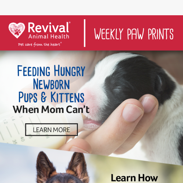 When Mom Can't Nurse Hungry Newborns - Revival Animal Health