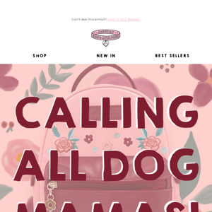 Calling all Dog Mamas…