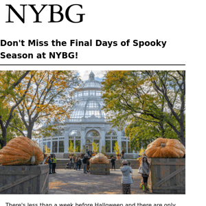 Don't Miss the Final Days of Spooky Season at NYBG! 👻