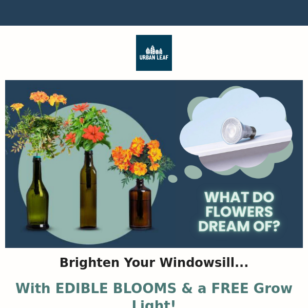 💡🌼FREE Grow Light with BOTTLE GARDENS!🌼💡