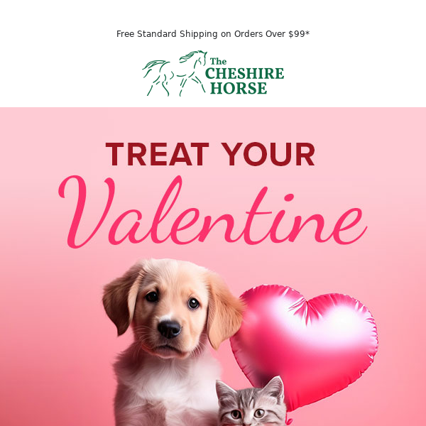 Treat Your Pets This Valentine’s Day