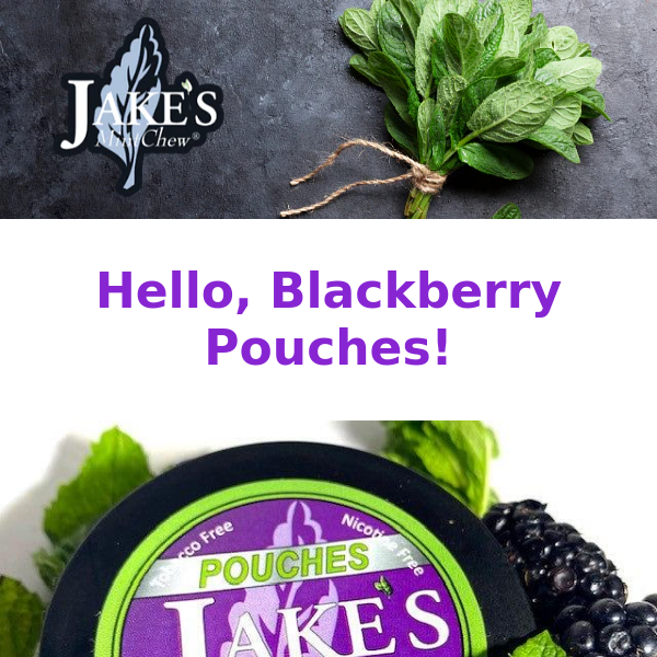 Blackberry and Mango Pouches join the NEW Summer Pouch Flavors.  Oh my...