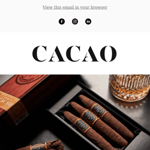 Chocolate cigars for Father's Day