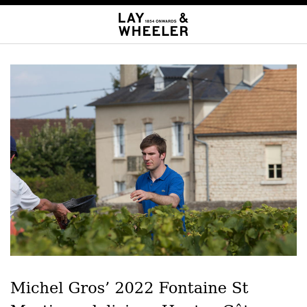 Burgundy 2022 Spotlight: A £20 red from one of Vosne-Romanée’s greatest names