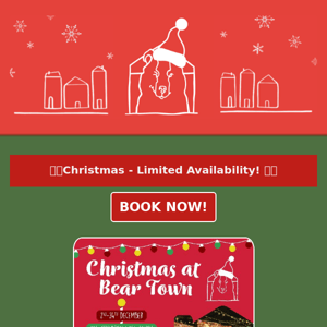 🎅 Christmas at Bear Town! 🎅