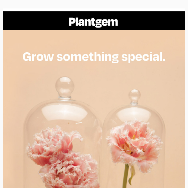 Welcome to Plantgem!