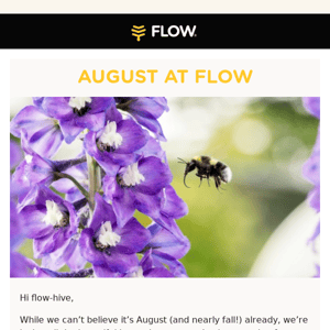 August Flow... What's the Buzz!