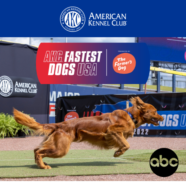 Watch the AKC Fastest Dogs USA American Kennel Club
