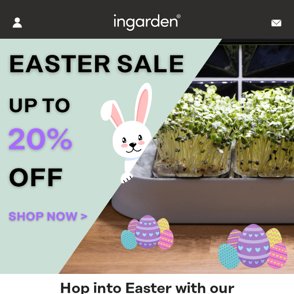 Our big Easter Sale starts NOW!🐰