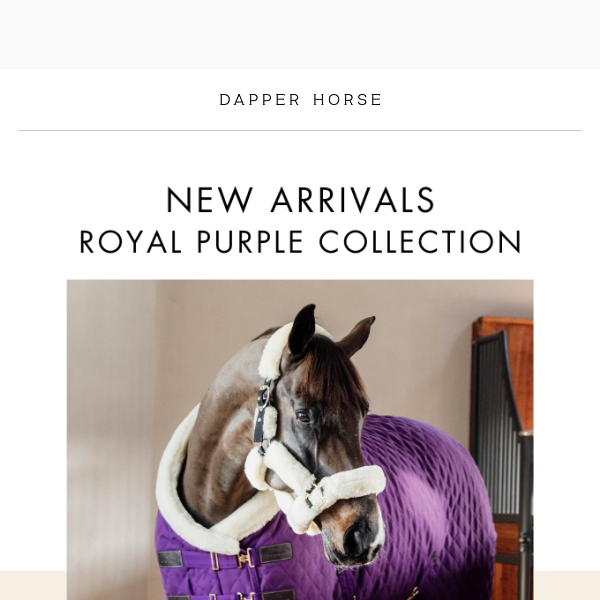 Blankets & Rugs – Dapper Horse