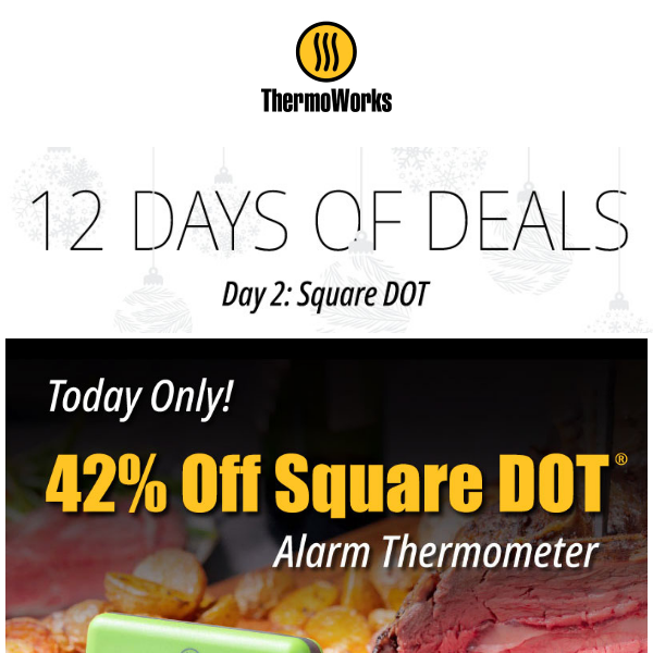 ThermoWorks Square Dot - Red – The Happy Cook